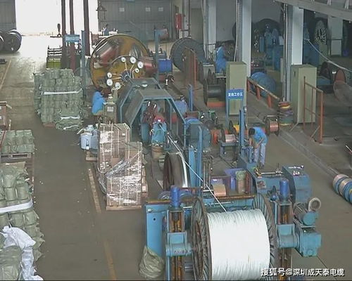 揭陽民生熱線專訪董事長陳展新 誠信經營創品牌 電纜行業勇創新