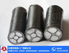 天津阻燃電線電纜 品質(zhì)與安全的保障