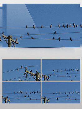 電線桿圖片素材與電纜設(shè)計模板 VIP素材資源集錦